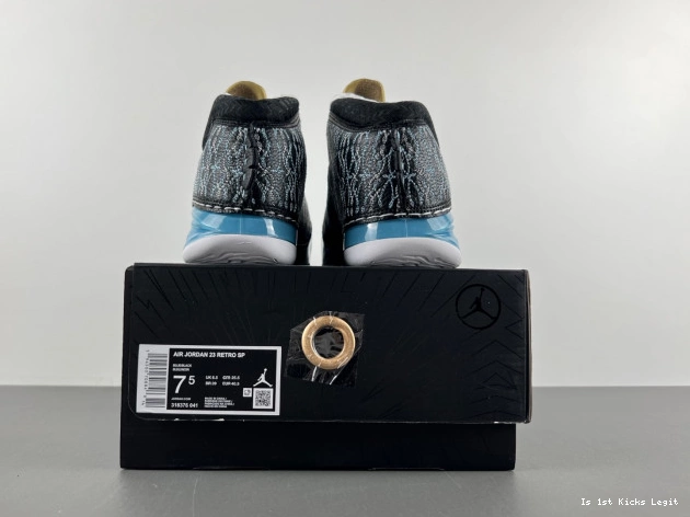 318376-041 Jordan 23 UNC 0531